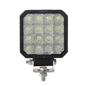 NQP BRIGHT 48