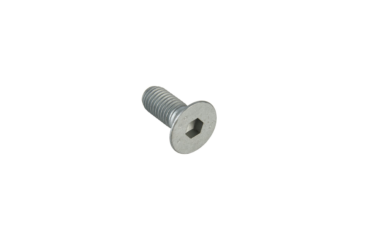 Bolt M12x 30 Unbrako for plate belg SAF
