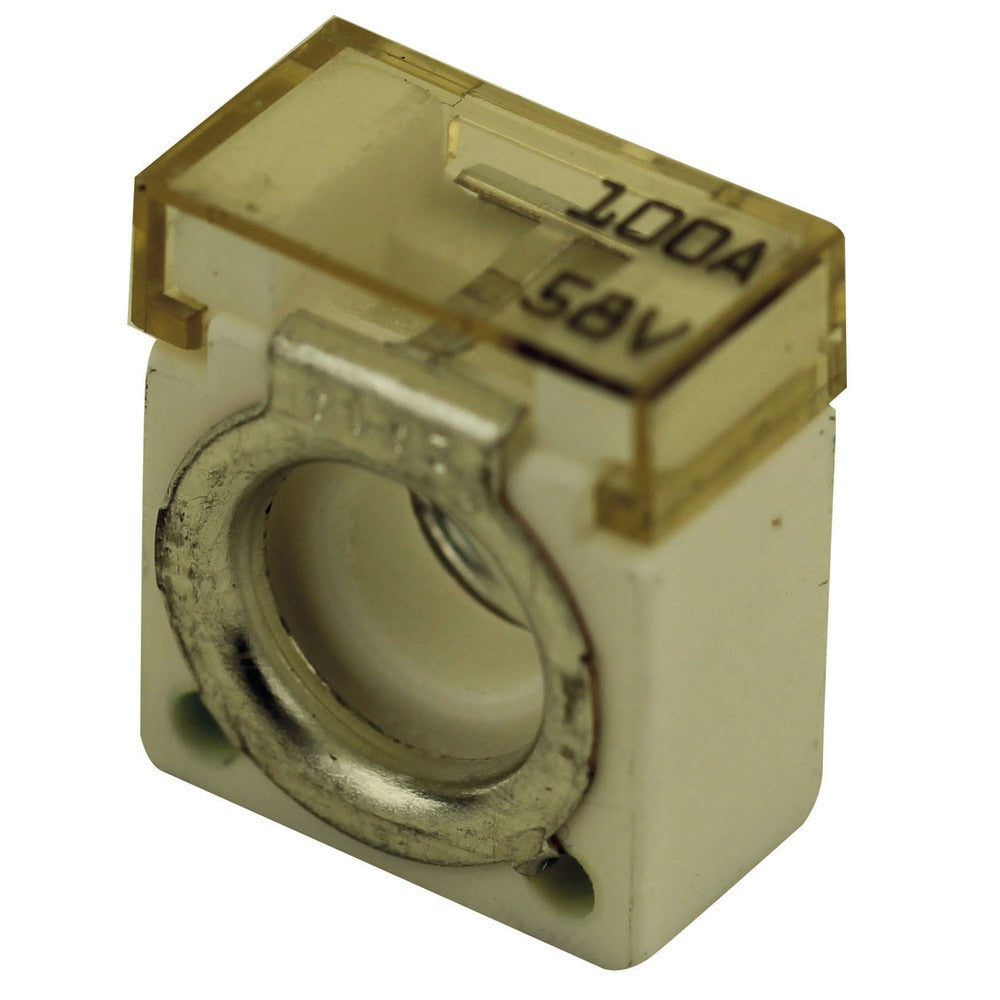 Fuse 100A